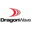 Dragon wave logo